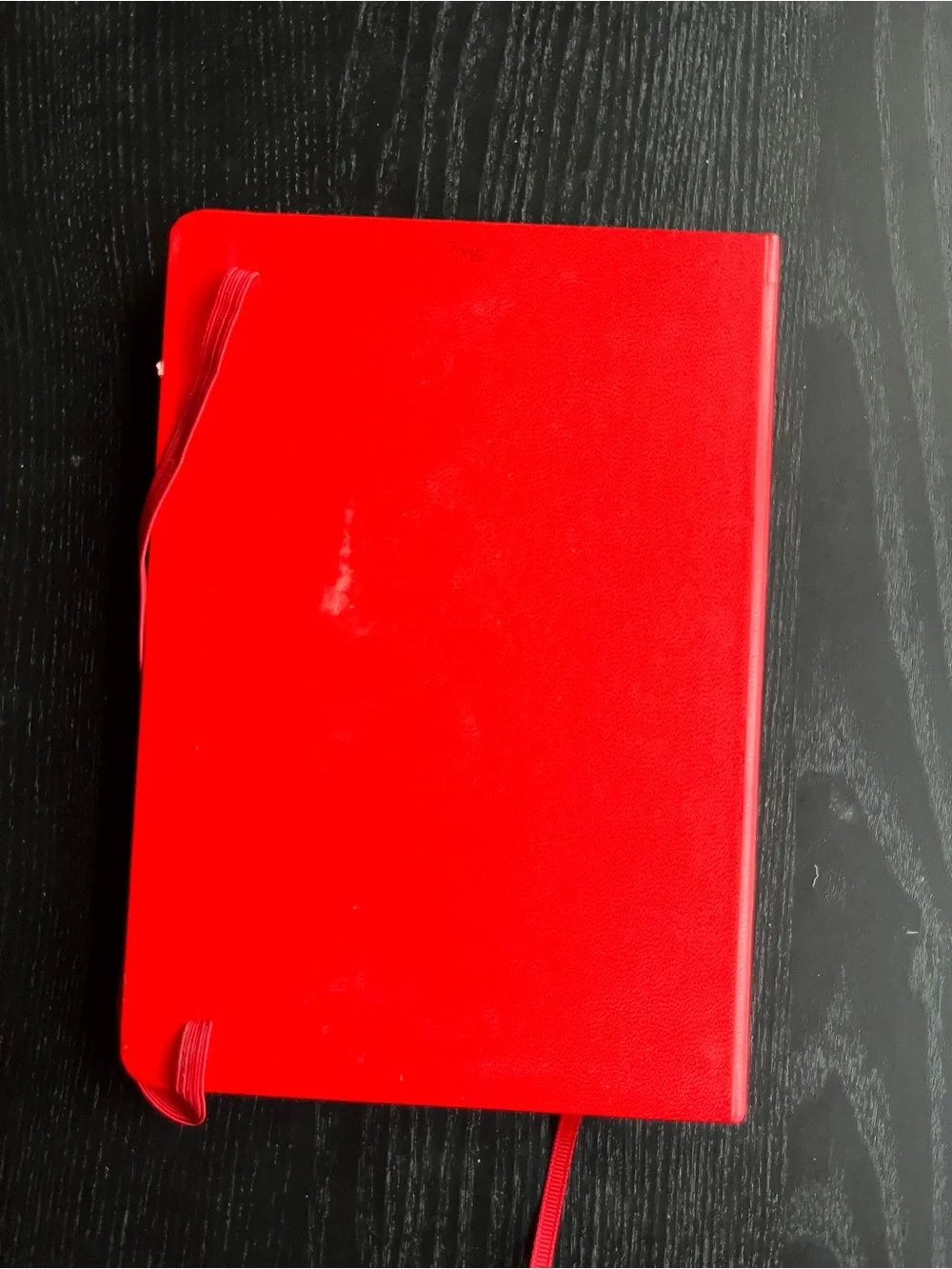 PAPERAGE Datadog Red Hardcover Lined Journal Notebook Bookmark 5.75x8 Inches